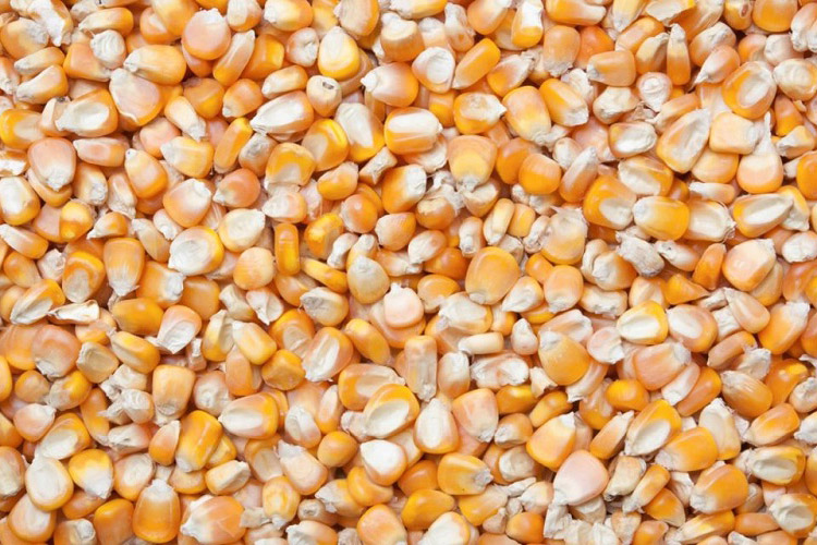 梅雨季廚房也需防潮 廚房防潮技巧教學