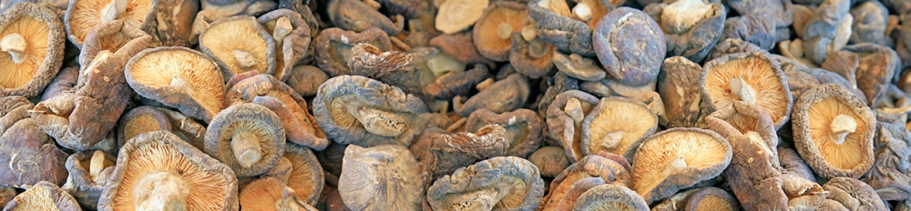 甄選好除濕機(jī)，做濕度掌控者