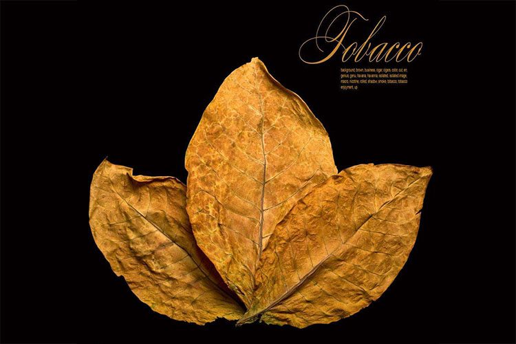 蘇州危險(xiǎn)品倉(cāng)庫(kù)防爆除濕機(jī),ASM-BCF-10高效優(yōu)質(zhì)