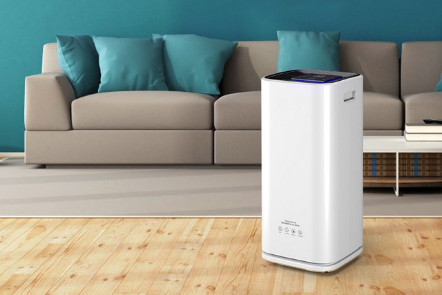 除了除濕器可以除濕，這些植物也可以除濕