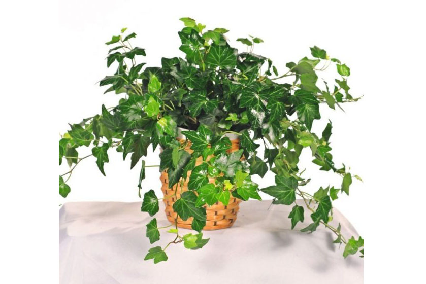 除濕機,抽濕機,去濕機,防潮機,吸潮機,抽潮機,去潮機．