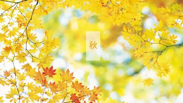 轉(zhuǎn)輪除濕機(jī)的核心部分在哪里？如何鑒定轉(zhuǎn)輪好壞呢？