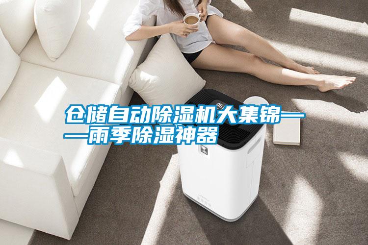 倉(cāng)儲(chǔ)自動(dòng)除濕機(jī)大集錦——雨季除濕神器