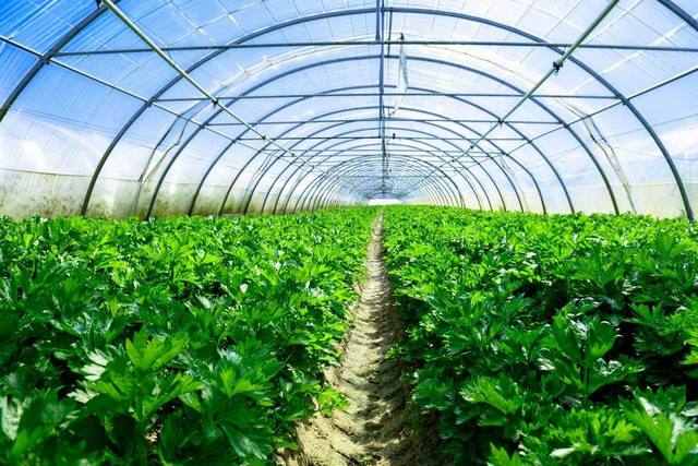 浙江德國訂恒溫恒濕試驗(yàn)箱 ASM2000N