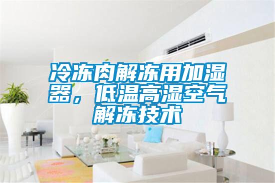 冷凍肉解凍用加濕器，低溫高濕空氣解凍技術(shù)