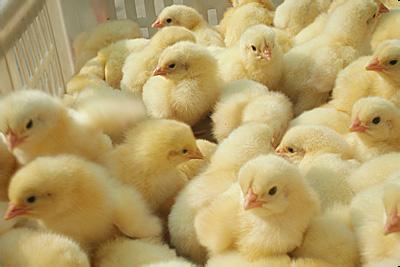 怎樣正確安風(fēng)管式恒溫恒濕空調(diào)