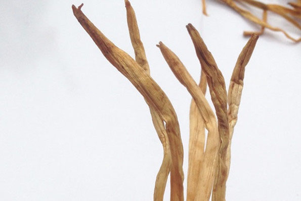 新風(fēng)十大品牌排行