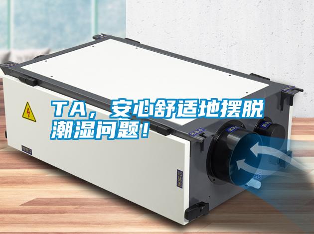 TA，安心舒適地擺脫潮濕問題！