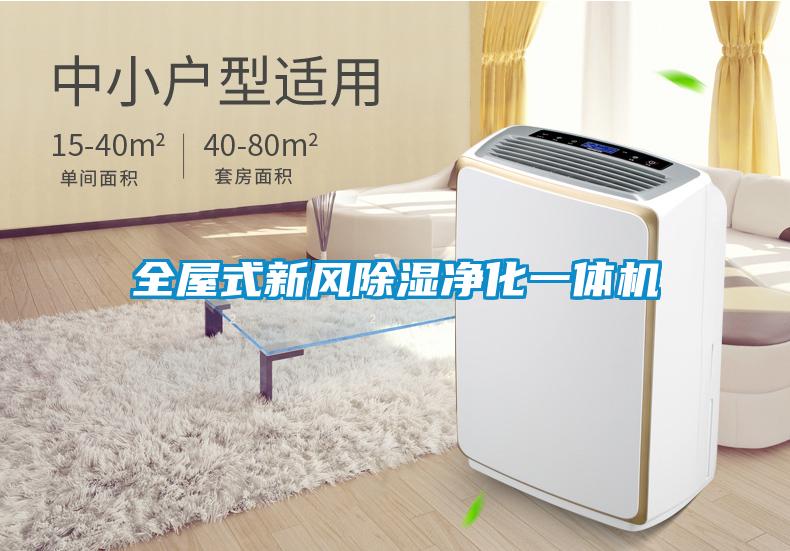全屋式新風除濕凈化一體機