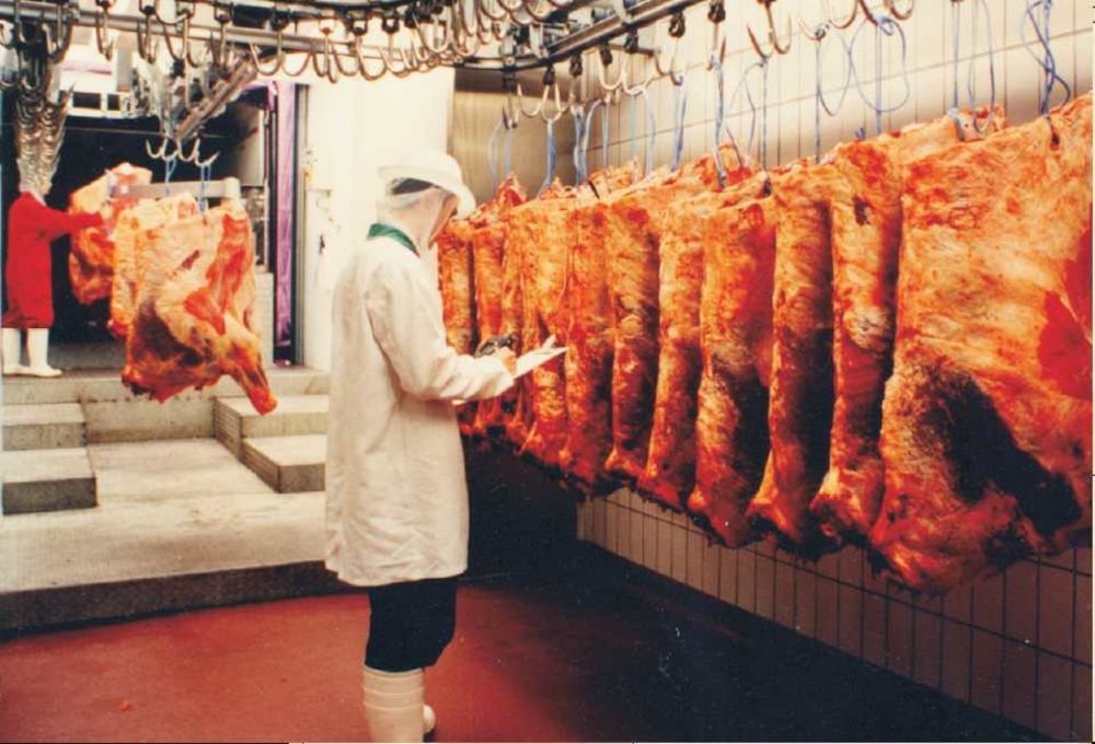 步入式高低溫濕熱交變?cè)囼?yàn)箱