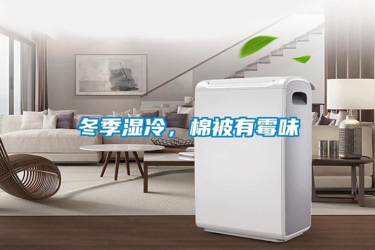 冬季濕冷，棉被有霉味