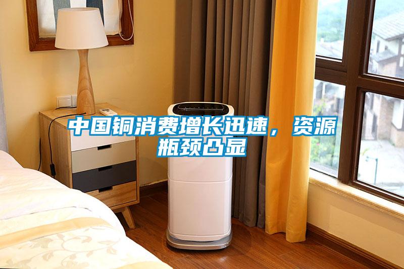 中國銅消費增長迅速，資源瓶頸凸顯