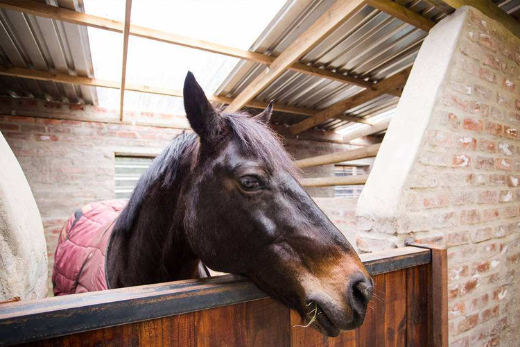 【化工業(yè)高性能全國(guó)保修制冷加熱一體機(jī)】?jī)r(jià)格,廠(chǎng)家,恒溫試驗(yàn)設(shè)備