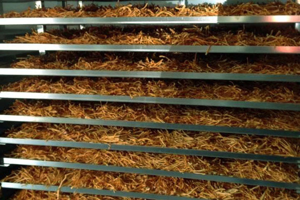 熱點：除濕機企業(yè)_讓你的大象舞動得更精彩_業(yè)內新聞_新聞動態(tài)-實力廠家官網