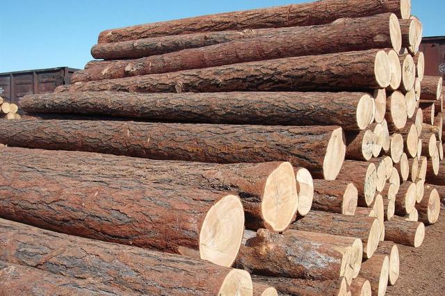 迷你除濕機—迷你除濕機介紹及選購