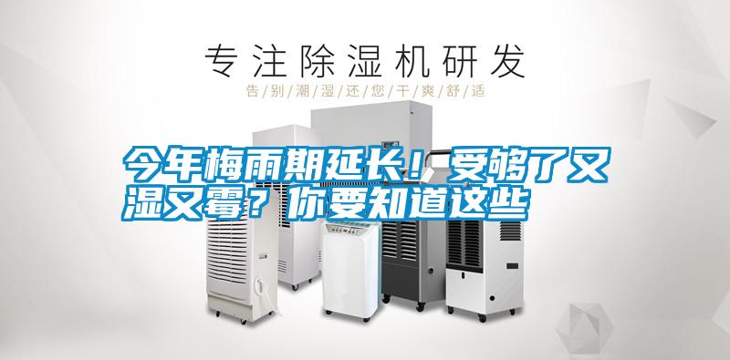 今年梅雨期延長！受夠了又濕又霉？你要知道這些