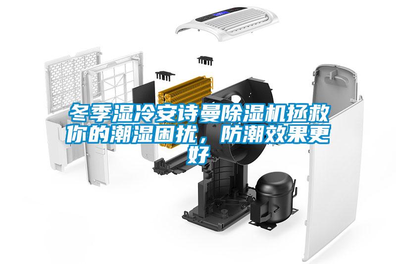 冬季濕冷安詩曼除濕機拯救你的潮濕困擾，防潮效果更好