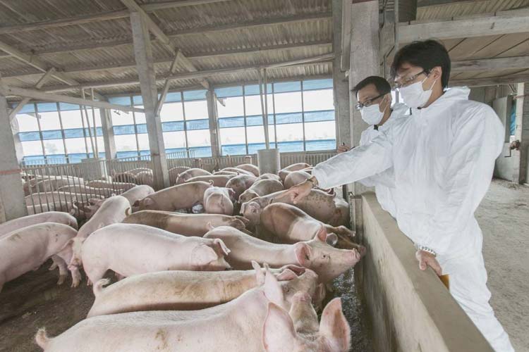 檔案室潮濕怎么辦 如何解決檔案室潮濕問題-除濕機(jī)