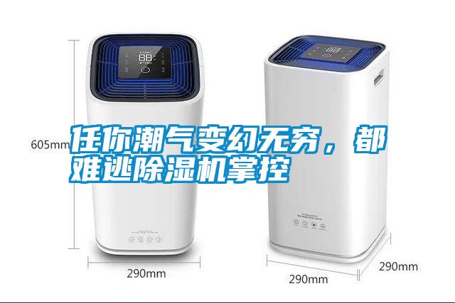 任你潮氣變幻無窮，都難逃除濕機(jī)掌控