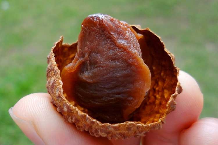 對(duì)三機(jī)一體除濕干燥機(jī)的水量如何控制？