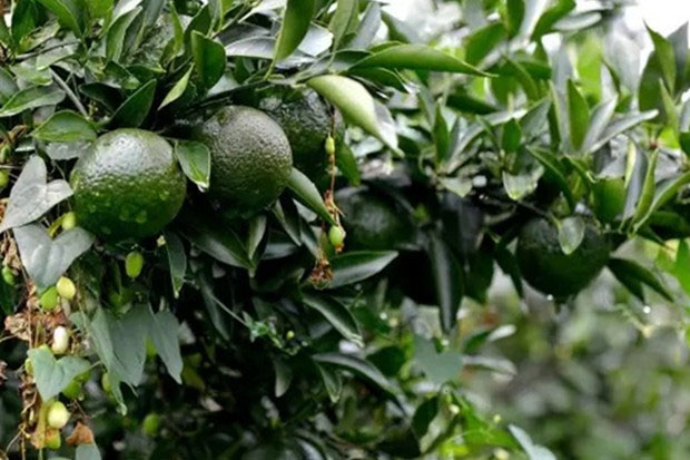 除濕機的制作方法（10頁）