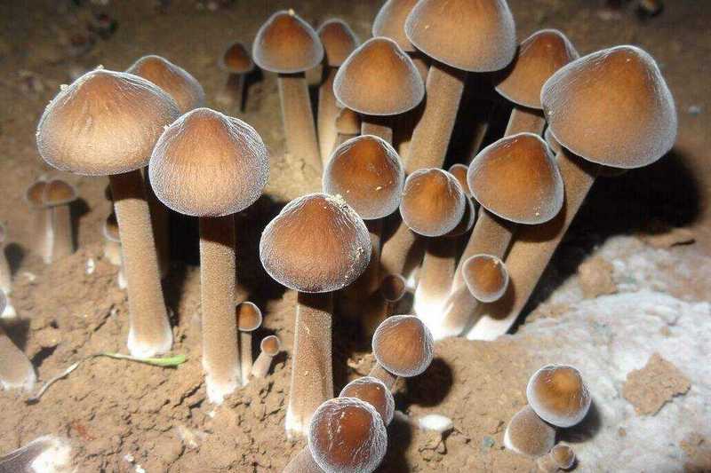 家用除濕機和工業(yè)除濕機添加制冷劑應該注意哪些問題