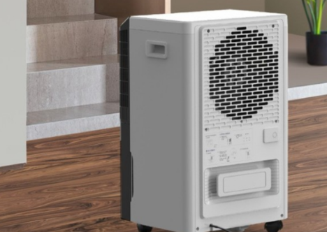 為什么南方獨(dú)有回南天，潮濕的日子里該怎么辦？