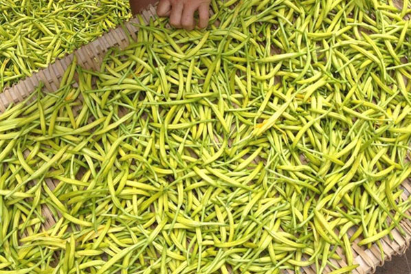 轉(zhuǎn)輪除濕機(jī)，低溫型轉(zhuǎn)輪除濕機(jī)，低露點(diǎn)轉(zhuǎn)輪除濕機(jī)，鋰 ...