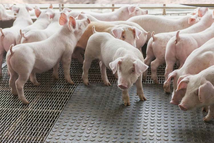 發(fā)電廠的濕度控制