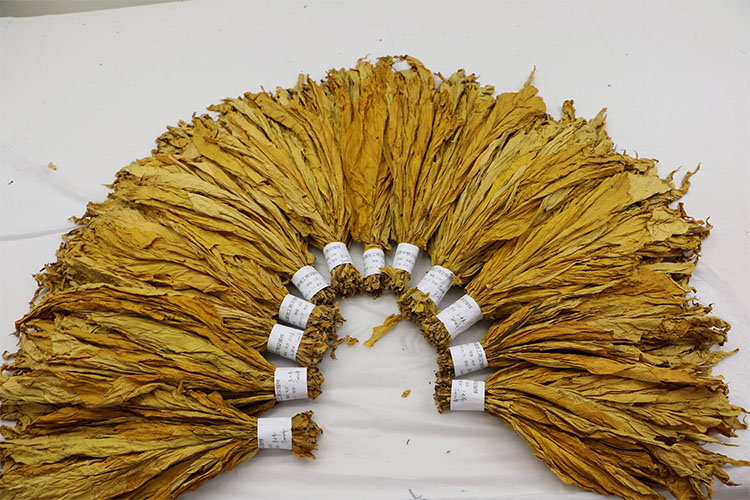 防潮選除濕袋還是除濕機(jī)？