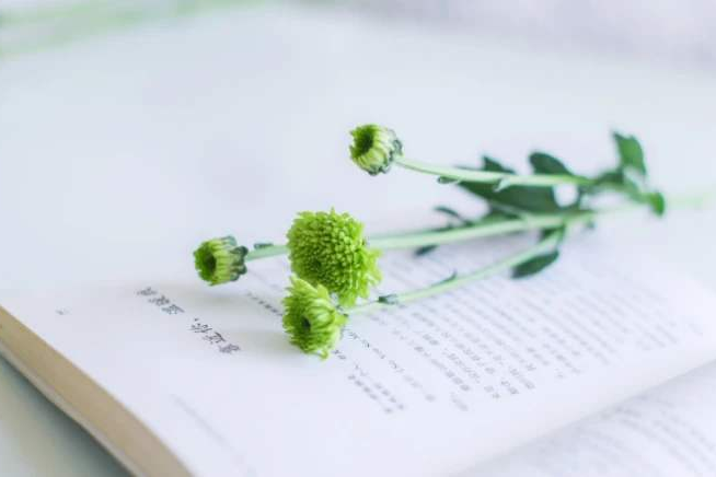 恒溫恒濕防爆柜安詩曼除濕機(jī)生產(chǎn)廠家