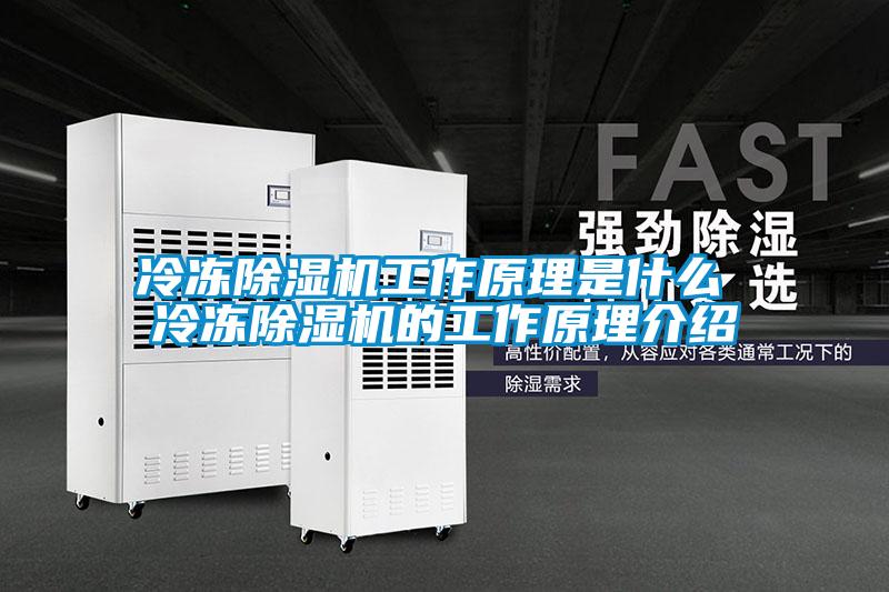 冷凍除濕機(jī)工作原理是什么 冷凍除濕機(jī)的工作原理介紹