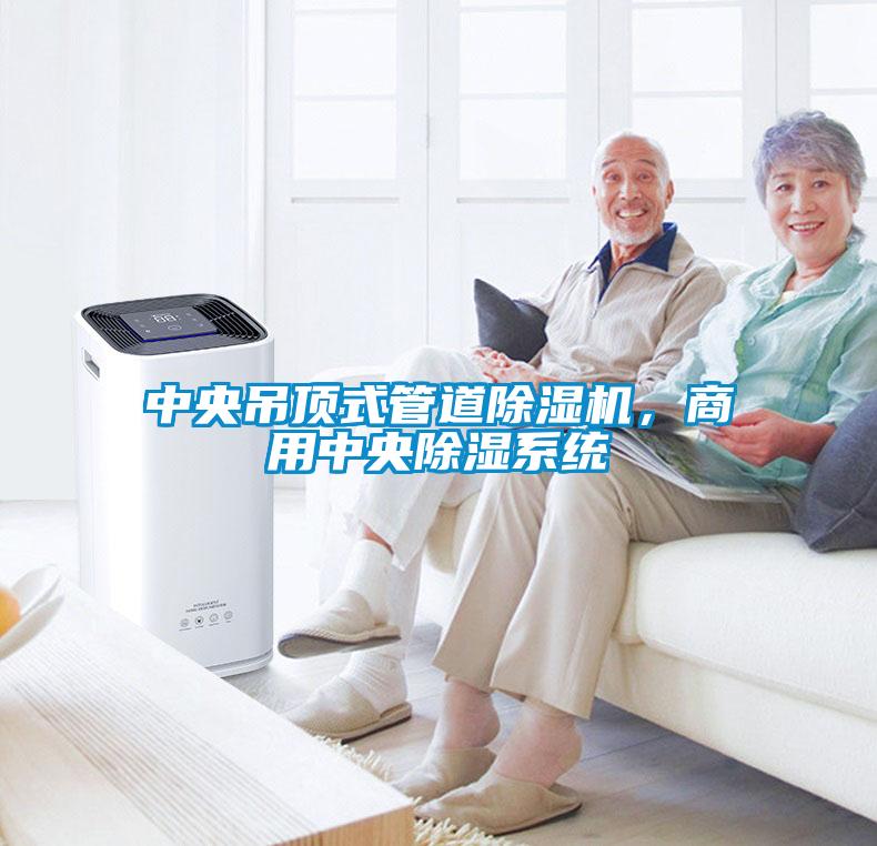 中央吊頂式管道除濕機，商用中央除濕系統(tǒng)