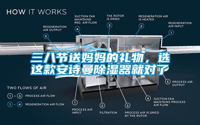 三八節(jié)送媽媽的禮物，選這款安詩曼除濕器就對了