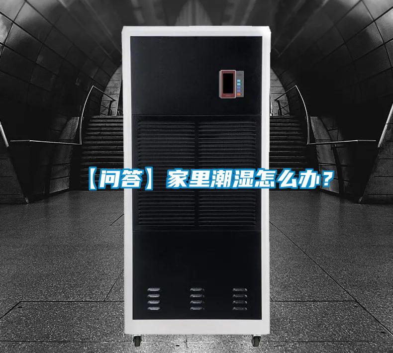 【問答】家里潮濕怎么辦？