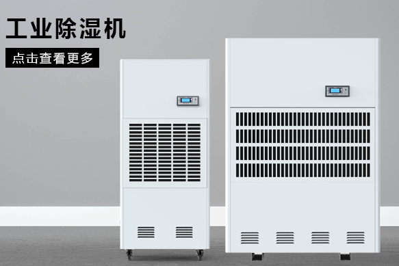 潮濕引起的常見問題是什么？