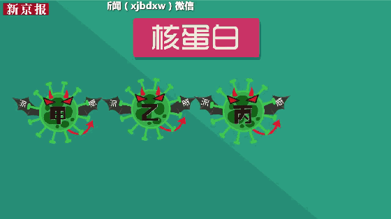 杭白菊除濕烘干機 廠家批發(fā)安徽杭白菊花烘干箱