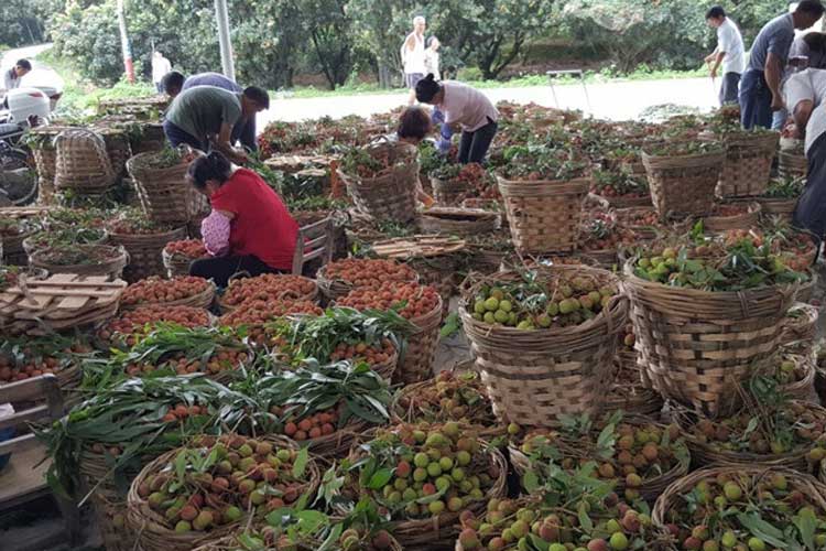 潮濕天氣 養(yǎng)生不宜大補