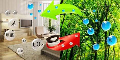 普洱茶發(fā)霉怎么辦？