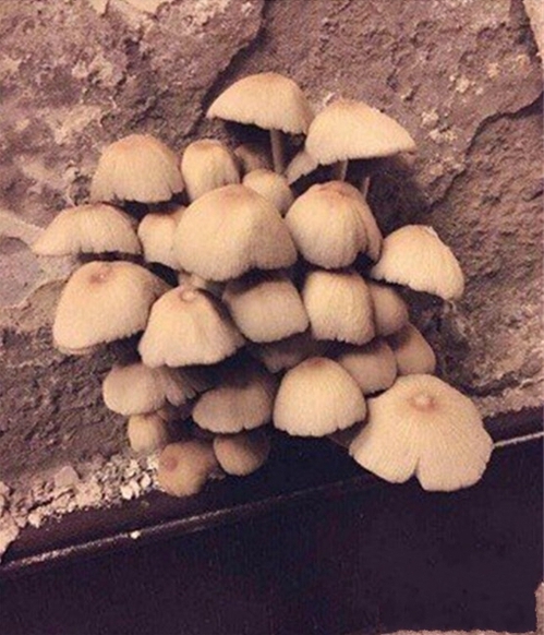 陜西高低溫交變試驗(yàn)箱廠家 大型高低溫試驗(yàn)箱現(xiàn)貨