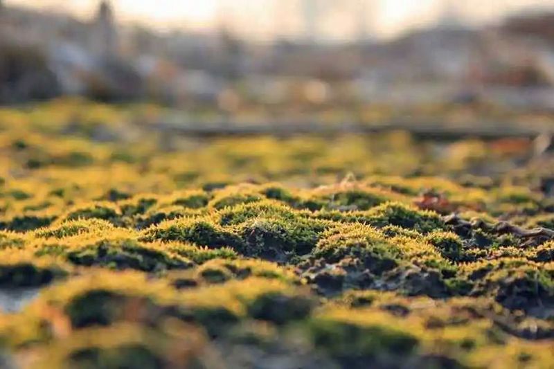 上海高低溫試驗(yàn)箱 高低溫試驗(yàn)箱哪個(gè)牌子質(zhì)量好？