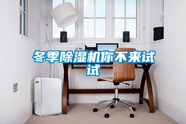 冬季除濕機你不來試試