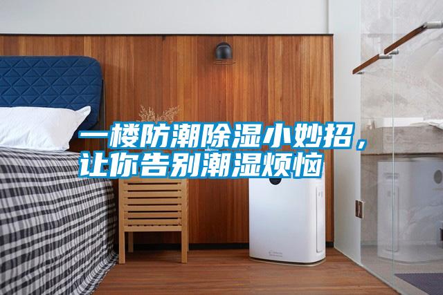一樓防潮除濕小妙招，讓你告別潮濕煩惱