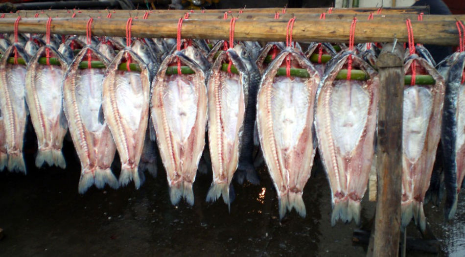 一種渦流管冷凝除濕裝置的制作方法