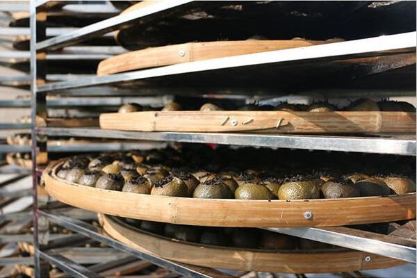 株洲新款A(yù)SM系列除濕器哪里買(mǎi)