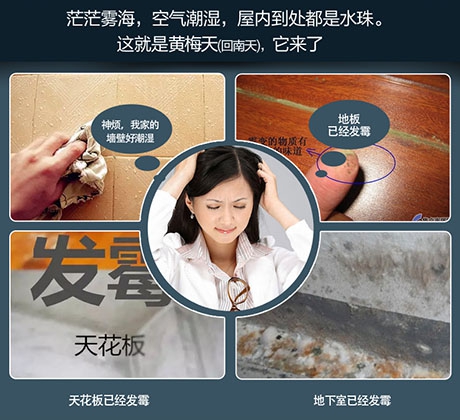 防潮就用工業(yè)除濕機(jī)