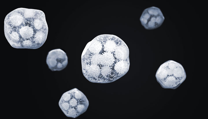 一種便攜一體式快速還原物理除濕盒、除濕器的制作方法