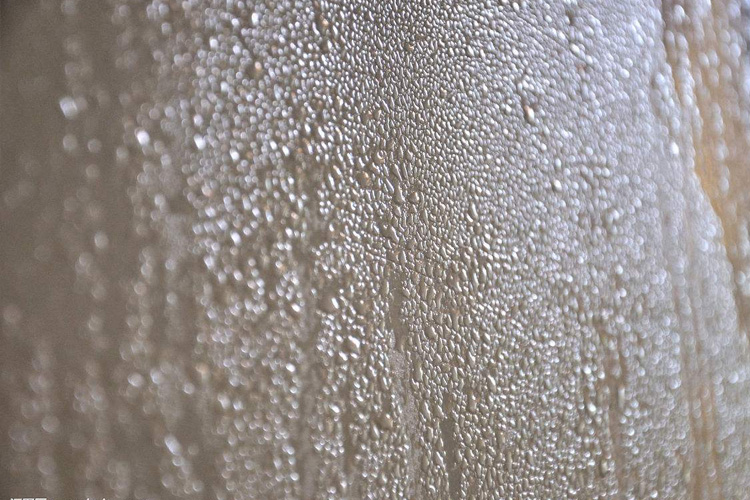 供應(yīng)除濕機(jī)電機(jī)