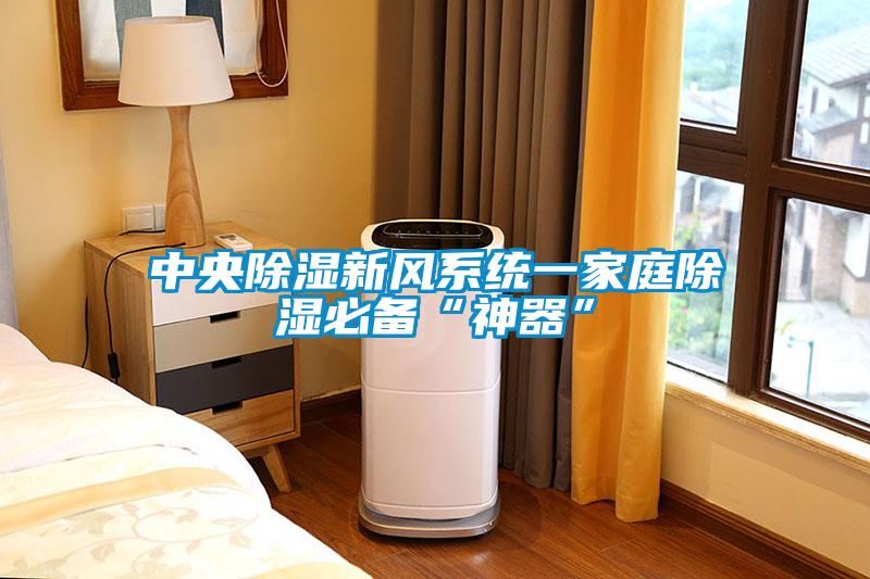 中央除濕新風系統(tǒng)一家庭除濕必備“神器”