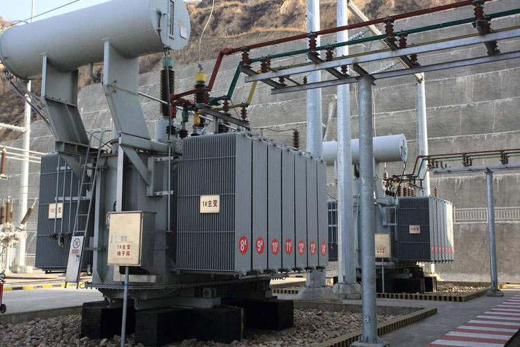 工廠需要除濕機(jī)之玫瑰花烘干機(jī)與烘干房的配型！